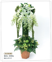 BKG. White