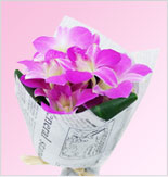 Orchid Bouquet